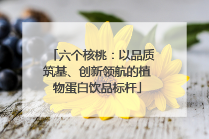 六个核桃：以品质筑基、创新领航的植物蛋白饮品标杆