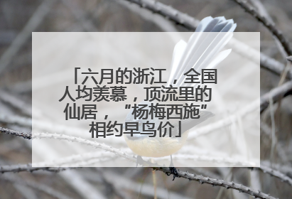 六月的浙江，全国人均羡慕，顶流里的仙居，“杨梅西施”相约早鸟价