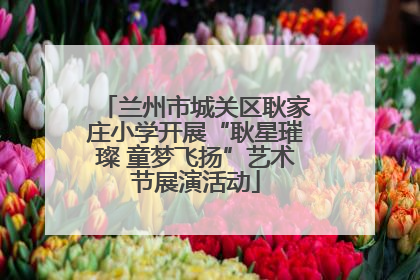 兰州市城关区耿家庄小学开展“耿星璀璨 童梦飞扬”艺术节展演活动