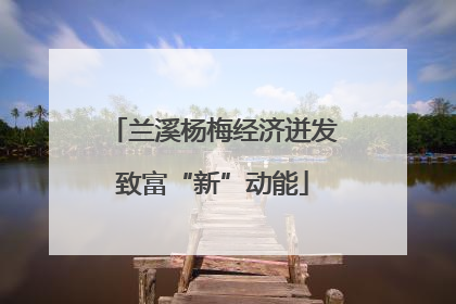 兰溪杨梅经济迸发致富“新”动能