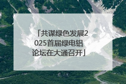 共谋绿色发展2025首届绿电铝论坛在大通召开