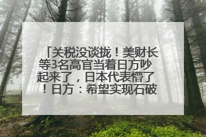 关税没谈拢！美财长等3名高官当着日方吵起来了，日本代表懵了！日方：希望实现石破茂与特朗普的会晤