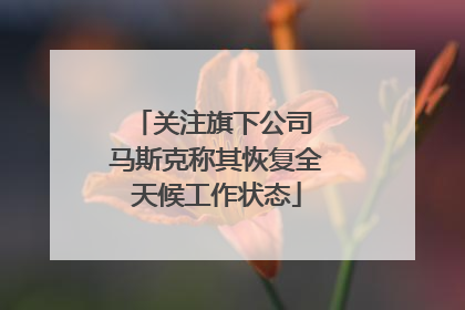 关注旗下公司 马斯克称其恢复全天候工作状态