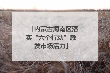 内蒙古海南区落实“六个行动”激发市场活力