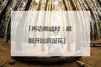 再访前戚村：庭院开出浪漫花