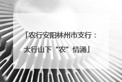 农行安阳林州市支行：太行山下“农”情涌