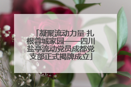 凝聚流动力量 扎根蓉城家园——四川盐亭流动党员成都党支部正式揭牌成立