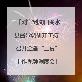 刘宁到周口商水县督导调研并主持召开全省“三夏”工作视频调度会