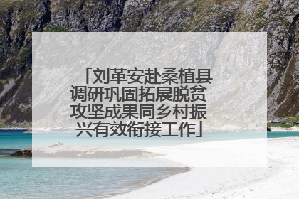 刘革安赴桑植县调研巩固拓展脱贫攻坚成果同乡村振兴有效衔接工作