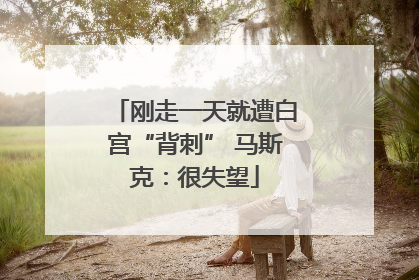 刚走一天就遭白宫“背刺” 马斯克：很失望