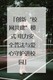 创新“校网共建”模式 电力安全普法与爱心守护进校园