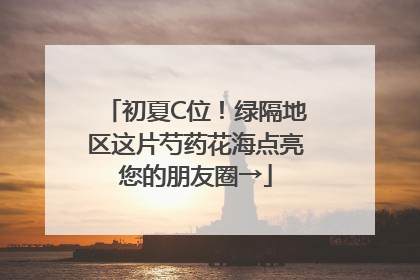 初夏C位！绿隔地区这片芍药花海点亮您的朋友圈→