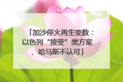 加沙停火再生变数：以色列“接受”美方案、哈马斯不认可