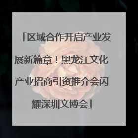 区域合作开启产业发展新篇章！黑龙江文化产业招商引资推介会闪耀深圳文博会