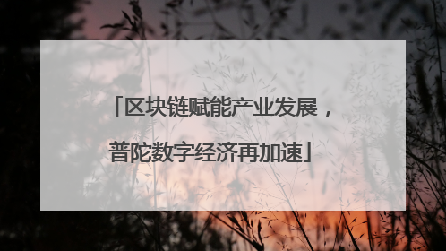 区块链赋能产业发展，普陀数字经济再加速