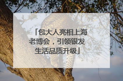 包大人亮相上海老博会，引领银发生活品质升级