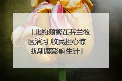 北约频繁在芬兰牧区演习 牧民担心惊扰驯鹿影响生计