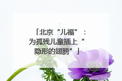 北京“儿福”：为孤残儿童插上“隐形的翅膀”