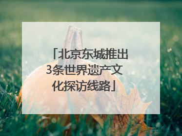 北京东城推出3条世界遗产文化探访线路