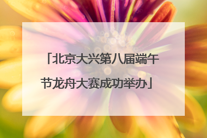 北京大兴第八届端午节龙舟大赛成功举办