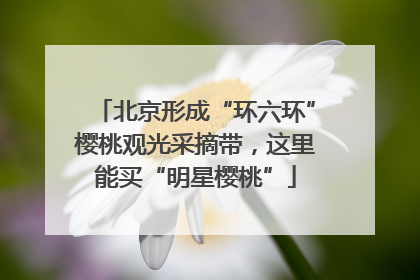 北京形成“环六环”樱桃观光采摘带，这里能买“明星樱桃”