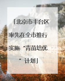 北京市丰台区率先在全市推行实施“青苗培优”计划