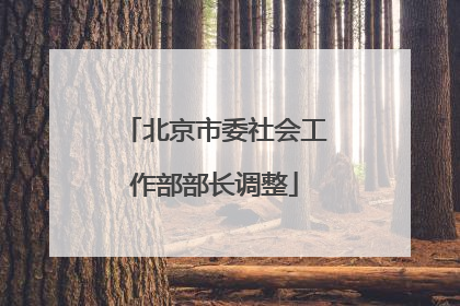 北京市委社会工作部部长调整