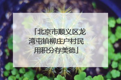 北京市顺义区龙湾屯镇柳庄户村民用积分存美德