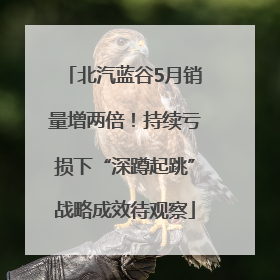 北汽蓝谷5月销量增两倍！持续亏损下“深蹲起跳”战略成效待观察