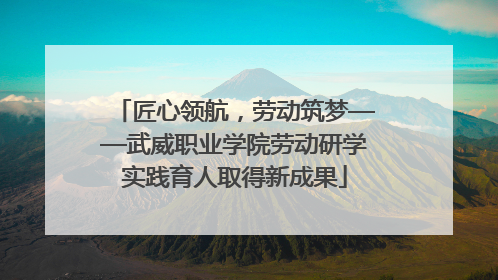 匠心领航，劳动筑梦——武威职业学院劳动研学实践育人取得新成果
