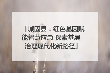 城固县：红色基因赋能智慧应急 探索基层治理现代化新路径