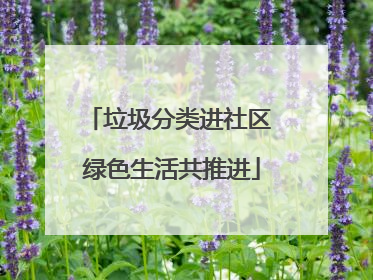 垃圾分类进社区 绿色生活共推进
