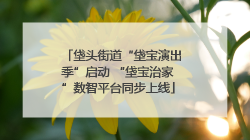 垡头街道“垡宝演出季”启动 “垡宝治家”数智平台同步上线