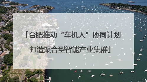 合肥推动“车机人”协同计划 打造聚合型智能产业集群