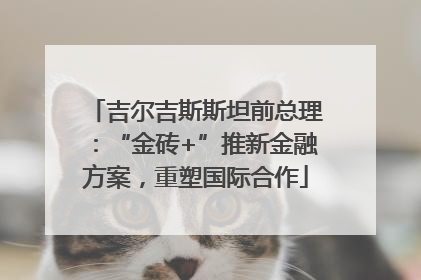 吉尔吉斯斯坦前总理：“金砖+”推新金融方案，重塑国际合作