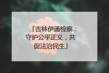 吉林伊通检察：守护公平正义，共促法治民生