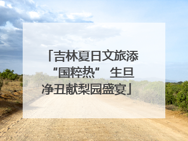 吉林夏日文旅添“国粹热” 生旦净丑献梨园盛宴