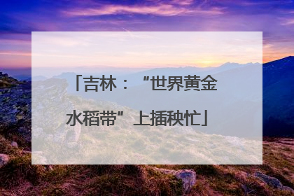 吉林：“世界黄金水稻带”上插秧忙