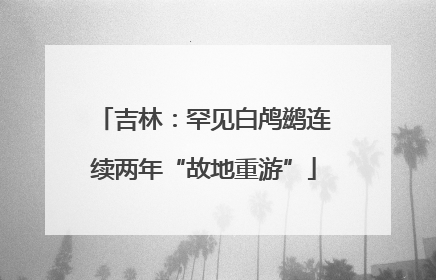 吉林：罕见白鸬鹚连续两年“故地重游”