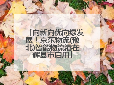 向新向优向绿发展！京东物流(豫北)智能物流港在辉县市启用
