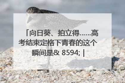 向日葵、拍立得……高考结束定格下青春的这个瞬间是& 8594;｜2025四川高考