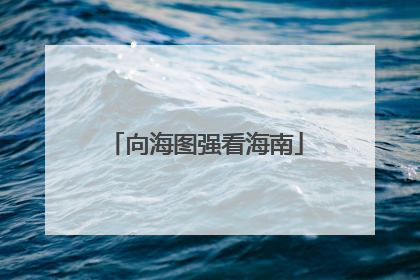 向海图强看海南