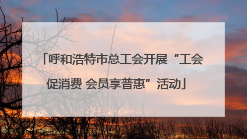 呼和浩特市总工会开展“工会促消费 会员享普惠”活动