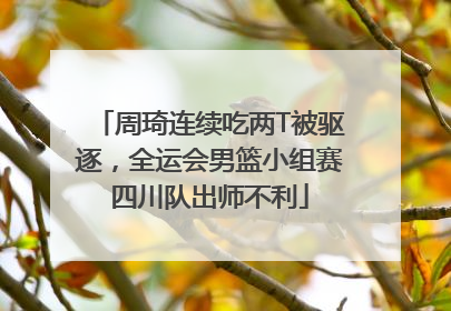 周琦连续吃两T被驱逐，全运会男篮小组赛四川队出师不利