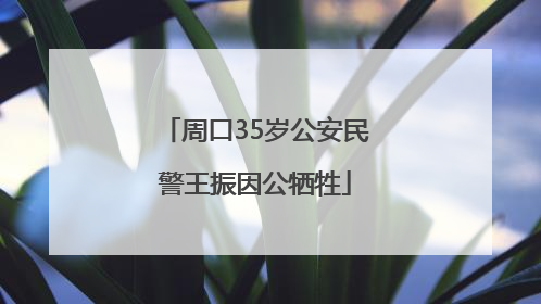周口35岁公安民警王振因公牺牲