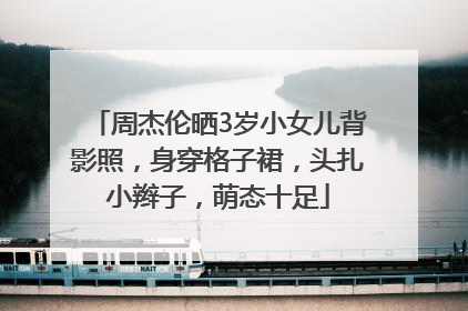 周杰伦晒3岁小女儿背影照，身穿格子裙，头扎小辫子，萌态十足