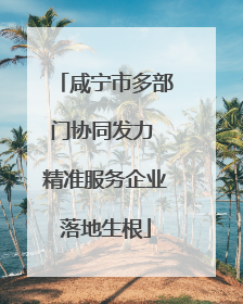 咸宁市多部门协同发力 精准服务企业落地生根