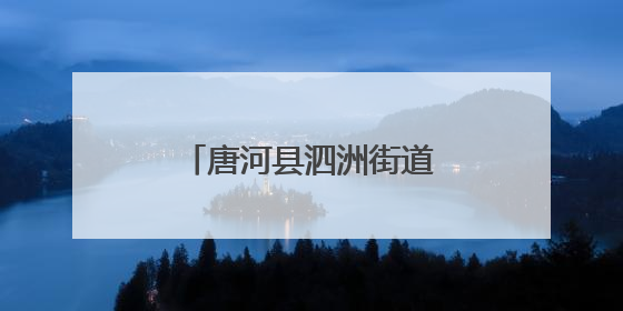 唐河县泗洲街道：青春力量筑牢防汛“安全堤”
