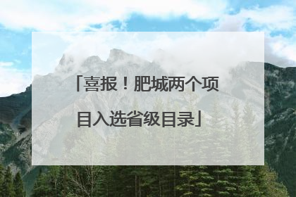 喜报！肥城两个项目入选省级目录