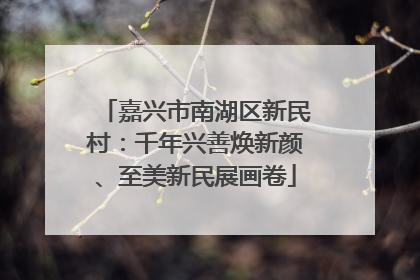 嘉兴市南湖区新民村：千年兴善焕新颜、至美新民展画卷